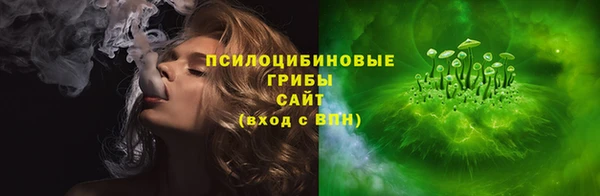 дмт Няндома