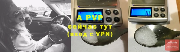 ECSTASY Нягань