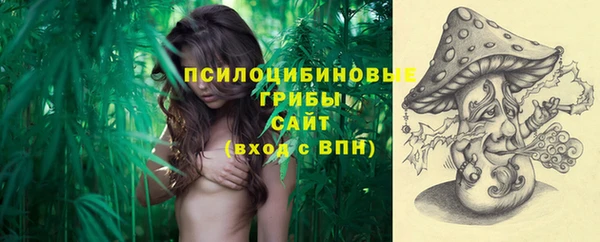 mdma Осинники