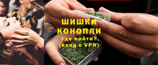 дмт Осташков