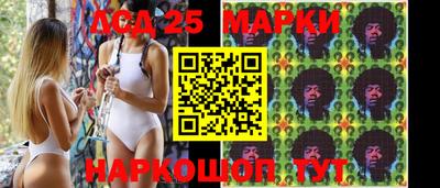 прущие грибы Донецк