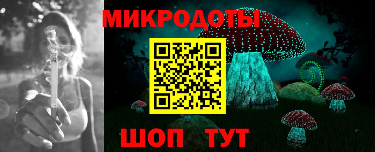 хочу   Курчатов  Галлюциногенные грибы Psilocybine cubensis 