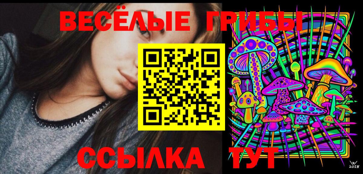 Галлюциногенные грибы ЛСД  что такое наркотик  Курчатов  Вход с VPN 