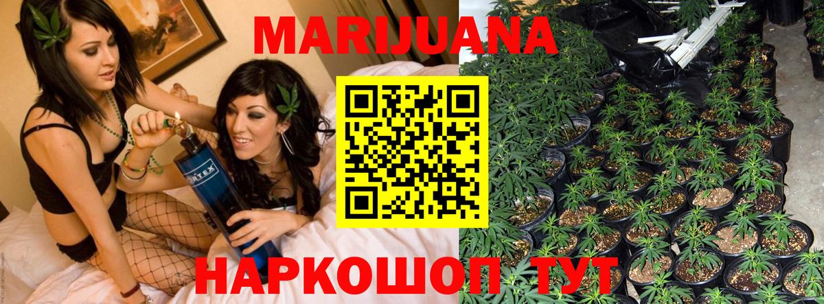 Шишки марихуана план Курчатов