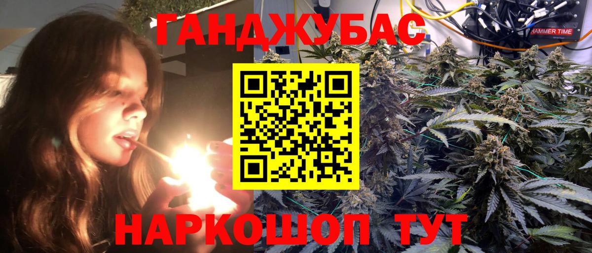 Канабис семена Курчатов